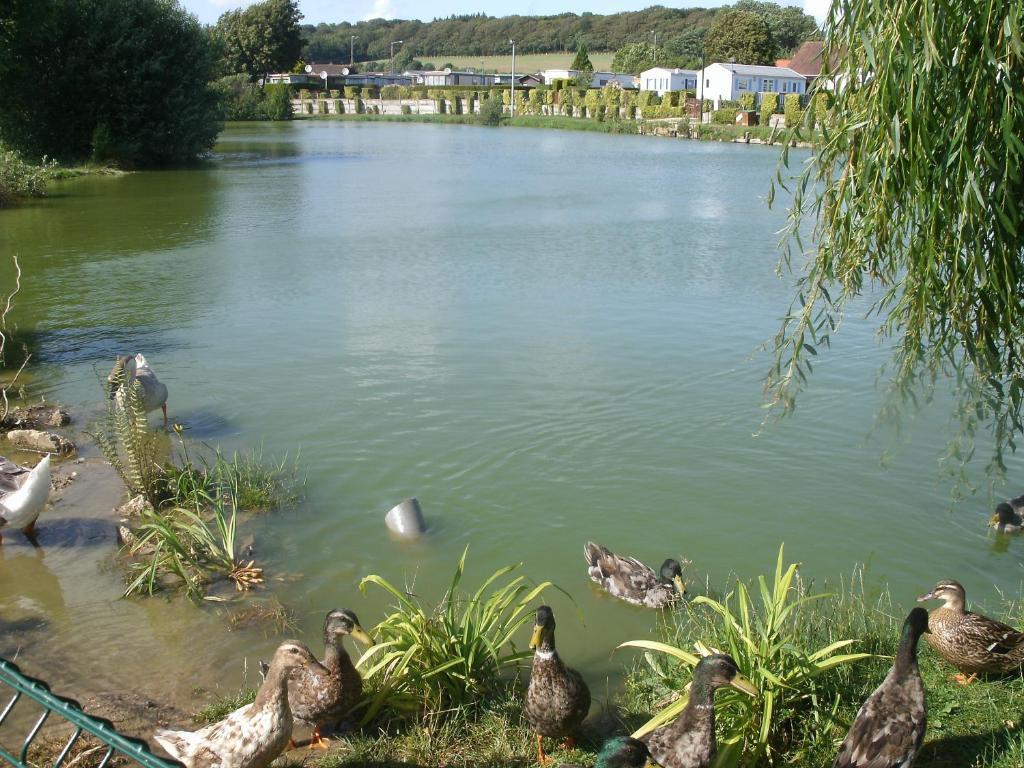 Roussent Auberge Des Etangs מראה חיצוני תמונה